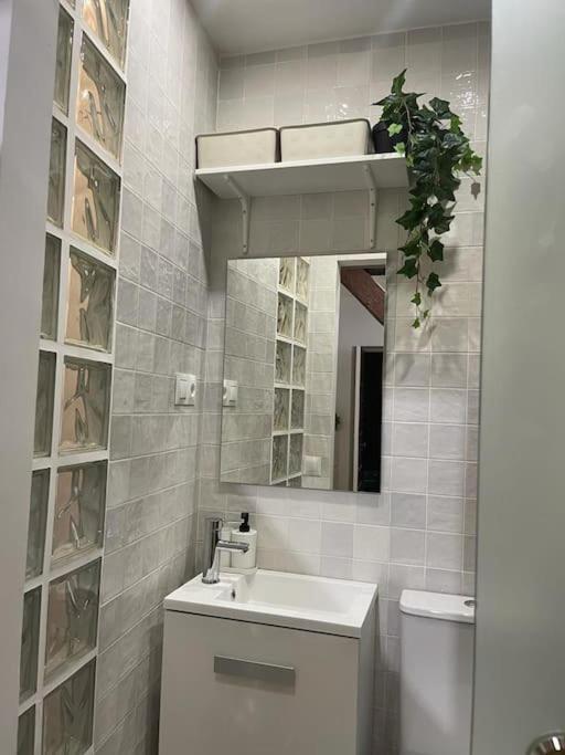 Tesorito, Estudio Individual En Malasana, Bajo Pequeno En Calle Del Tesoro Διαμέρισμα Μαδρίτη Εξωτερικό φωτογραφία